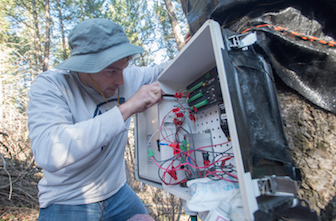 Tree monitoring in Gibson Jack watershed